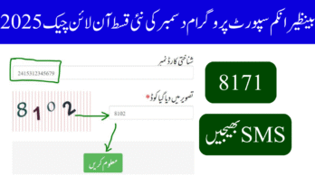 بینظیر انکم سپورٹ پروگرام دسمبر کی نئی قسط آن لائن چیک 2025