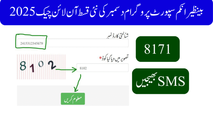 بینظیر انکم سپورٹ پروگرام دسمبر کی نئی قسط آن لائن چیک 2025