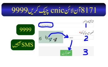 8171 آن لائن cnic چیک کریں 9999