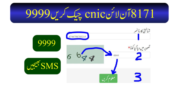 8171 آن لائن cnic چیک کریں 9999
