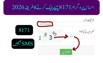 احساس پروگرام 8171 پیسے چیک کرنے کا طریقہ 2026