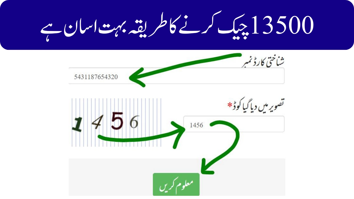 احساس پروگرام 8171 پیسے چیک کرنے کا طریقہ 2026