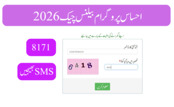 احساس پروگرام بیلنس چیک 2026