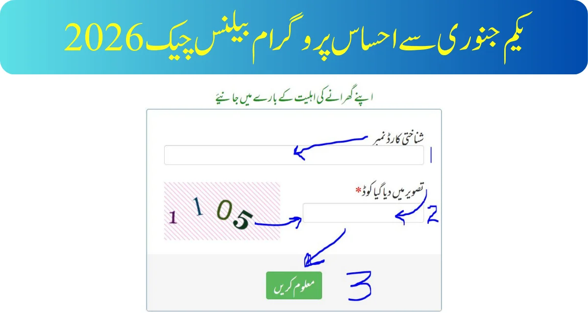 احساس پروگرام بیلنس چیک 2026