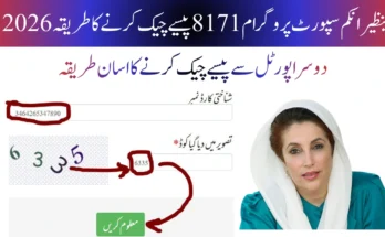 بینظیر انکم سپورٹ پروگرام 8171 پیسے چیک کرنے کا طریقہ 2026