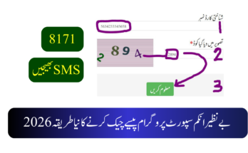 بے نظیر انکم سپورٹ پروگرام پیسے چیک کرنے کا نیا طریقہ 2026