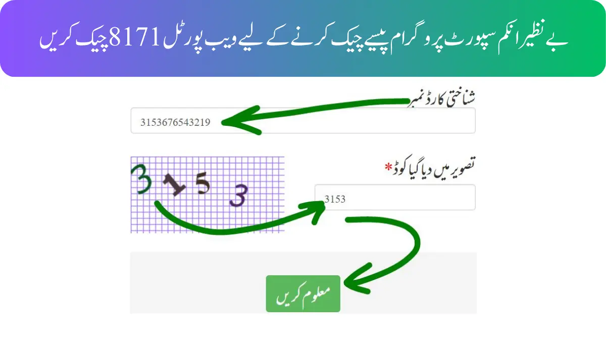 بے نظیر انکم سپورٹ پروگرام پیسے چیک کرنے کا نیا طریقہ 2026