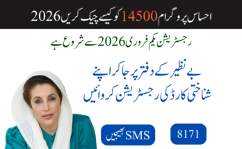 احساس پروگرام 14500 کو کیسے چیک کریں
