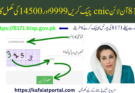 8171 آن لائن cnic چیک کریں 9999 اور 14500 کی مکمل گائیڈ