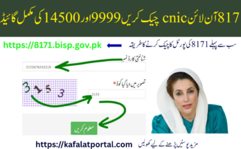 8171 آن لائن cnic چیک کریں 9999 اور 14500 کی مکمل گائیڈ