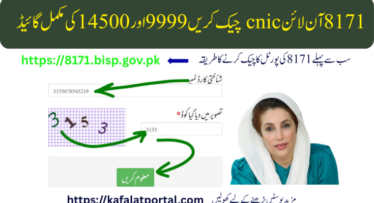 8171 آن لائن cnic چیک کریں 9999 اور 14500 کی مکمل گائیڈ