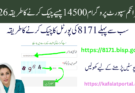 بینظیر انکم سپورٹ پروگرام 14500 پیسے چیک کرنے کا طریقہ 2026